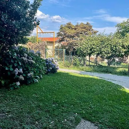 Le Ortensie - Pisano